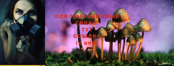гашишное масло Баксан