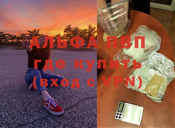 тгк Богданович