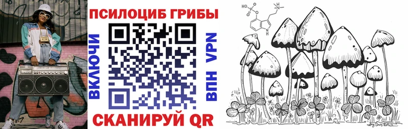 где продают наркотики  Кропоткин  Псилоцибиновые грибы Cubensis 